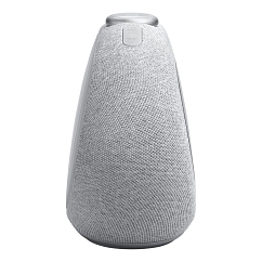 Портативная колонка JBL Horizon 3 Gray