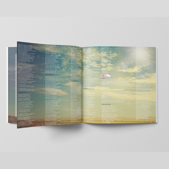 Виниловая пластинка Влади Каста - Ясно! - 2LP - рис.7