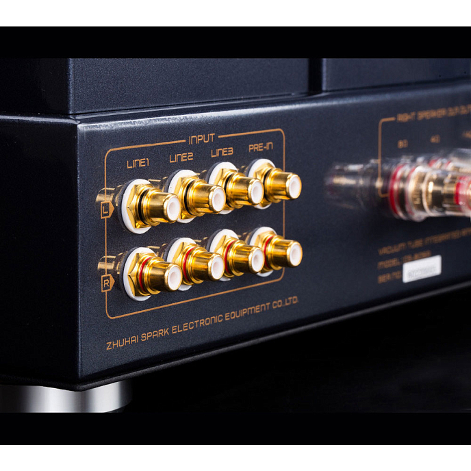 Интегральный усилитель Cayin CS-805A Black - рис.5