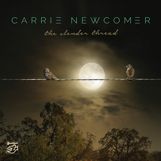 Пластинка Carrie Newcomer - The Slender Thread 2LP - рис.0