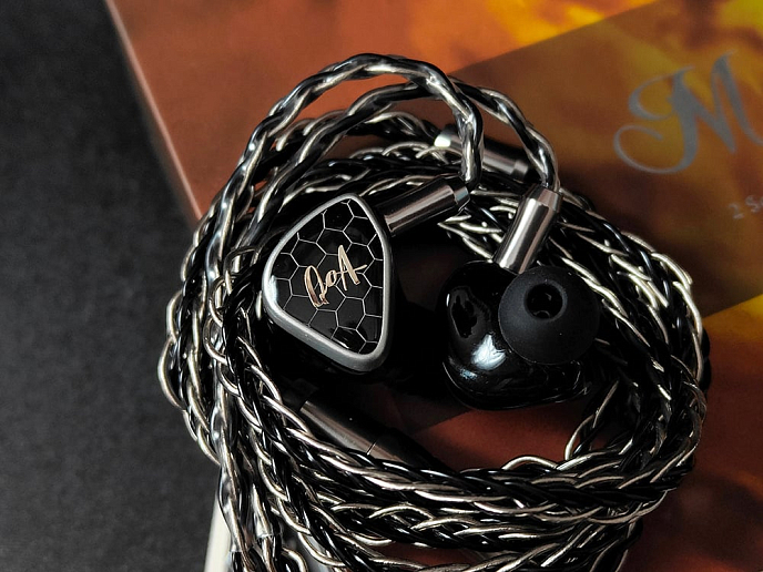 IEM наушники Queen Of Audio Margarita Black - рис.11