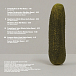 Виниловая пластинка Pdqb - Mutations, Modifications, And Other Alterations (coloured) - 2LP - рис.4