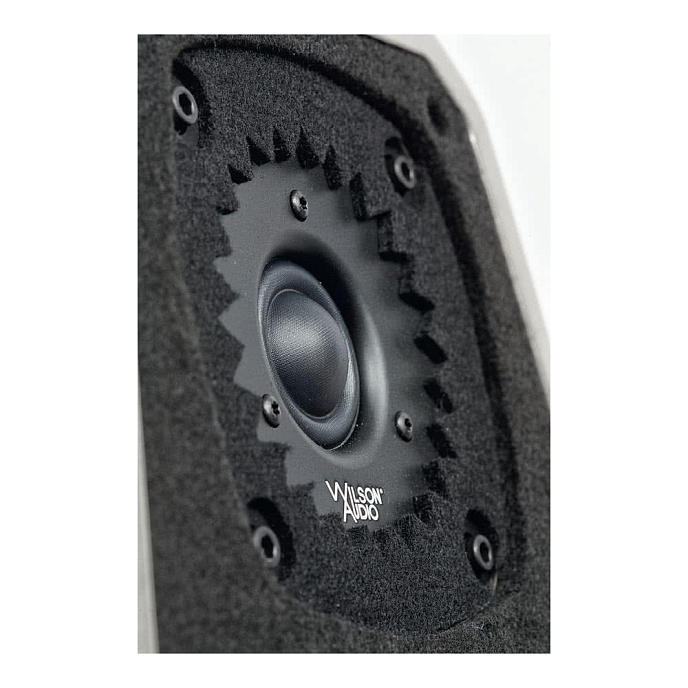 Напольная акустика Wilson Audio Sabrina X Carbon - рис.4