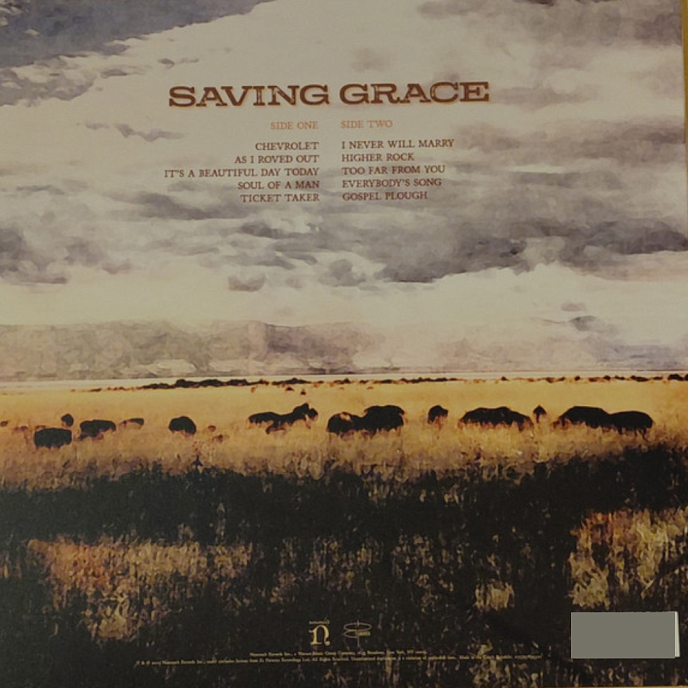 Виниловая пластинка Robert Plant With Suzi Dian – Saving Grace (Fruit Punch) LP - рис.2