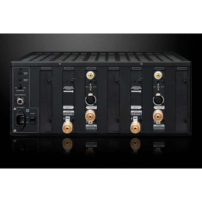 Усилитель мощности Emotiva XPA-DR2 - рис.2