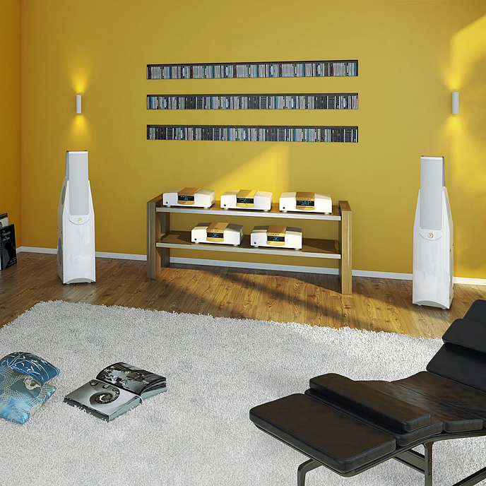 Напольная акустика MBL 116 F Piano Black Gold - рис.3