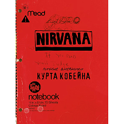 Книга Nirvana. Личные дневники Курта Кобейна 18+