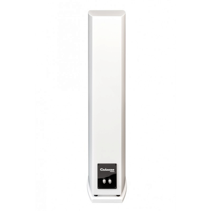 Напольная акустика Cabasse Jersey MC170 Glossy White Laquer - рис.1