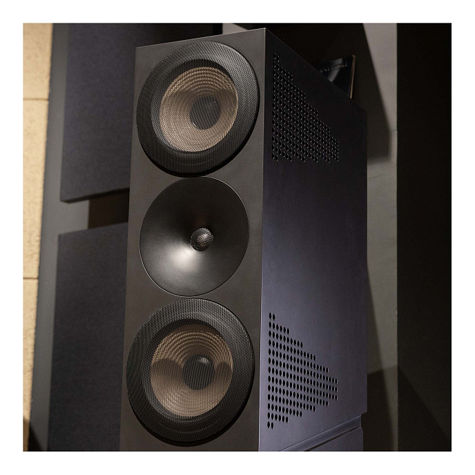 Напольная акустика Amphion Krypton3X Black - рис.6