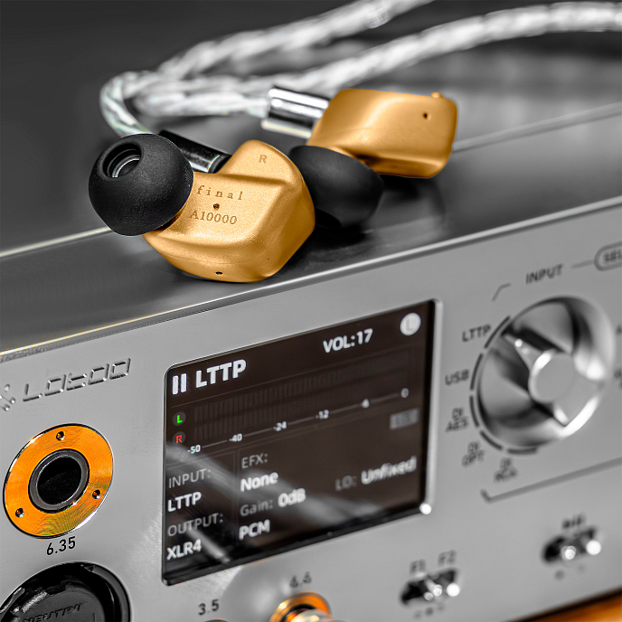 High End наушники Final Audio A10000 Collector’s Edition Gold - рис.9