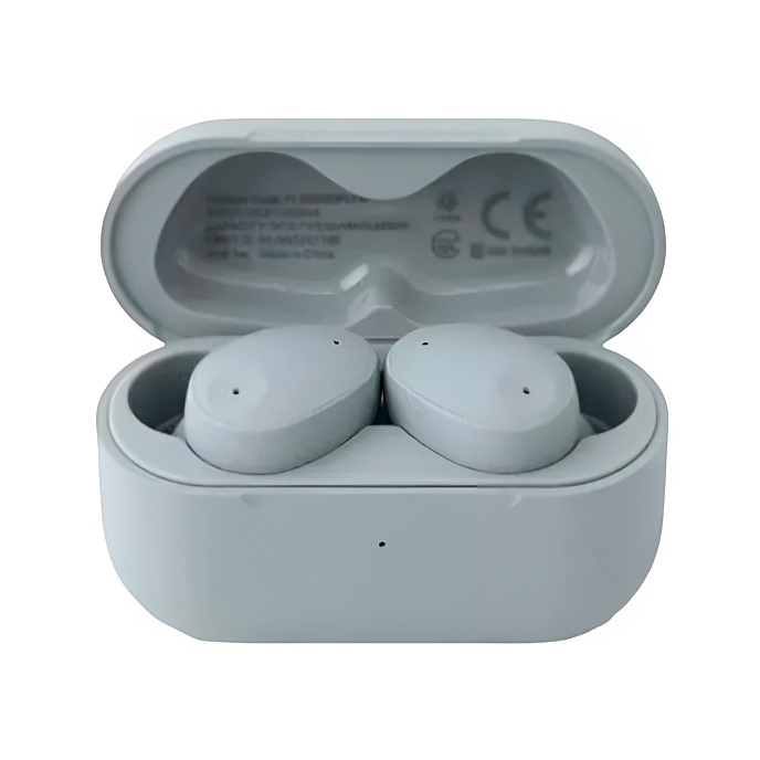 Беспроводные наушники Final Audio ZE300 Sky Gray - рис.1