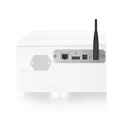 Модуль предусиления/питания Dan DAgostino Digital Streaming Module
