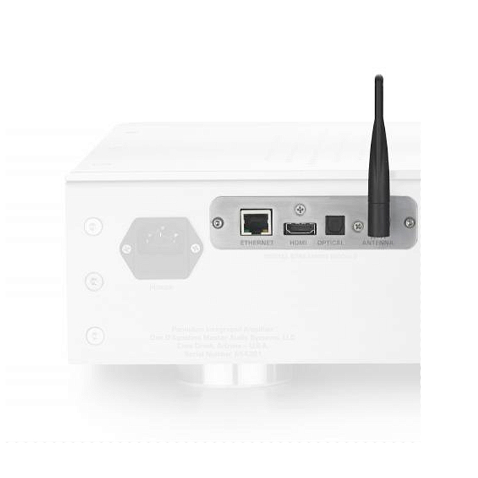 Модуль предусиления/питания Dan DAgostino Digital Streaming Module - рис.1