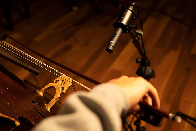 Микрофон инструментальный Antelope Audio Edge Note - рис.7