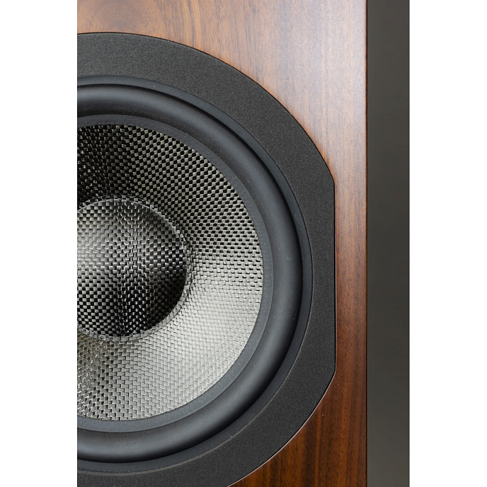 Напольная акустика Davis Acoustics Courbet N 8 Walnut - рис.7