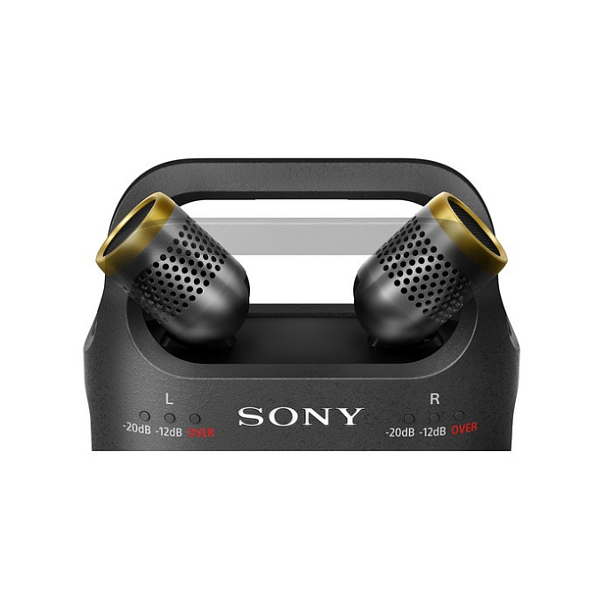 Диктофон Sony PCM-D10 - рис.5