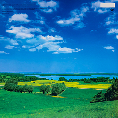 Виниловая пластинка David Bowie – Earthling - 2LP