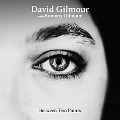 Пластинка David Gilmour with Romany Gilmour - Between Two Points - Clear, RSD 2025 LP