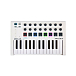MIDI-клавиатура Arturia MiniLab MkII White - рис.0