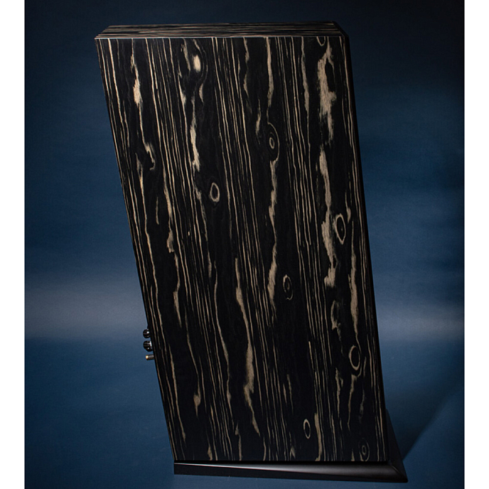 Напольная акустика Davis Acoustics MV One Master Ebony - рис.7