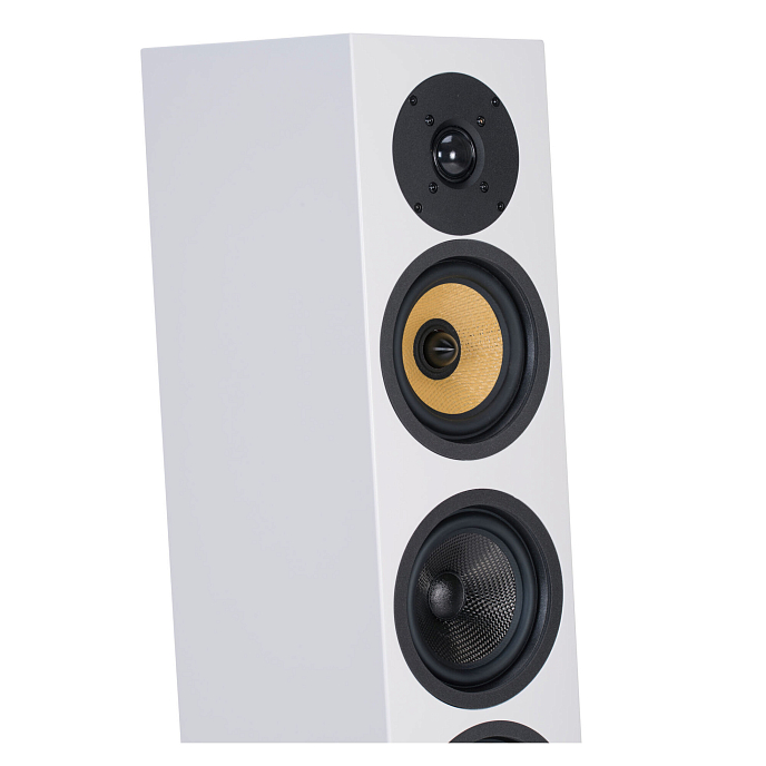 Напольная акустика Davis Acoustics Courbet N 5 White Matte - рис.9