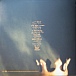 Виниловая пластинка Pearl Jam - Riot Act - рис.1