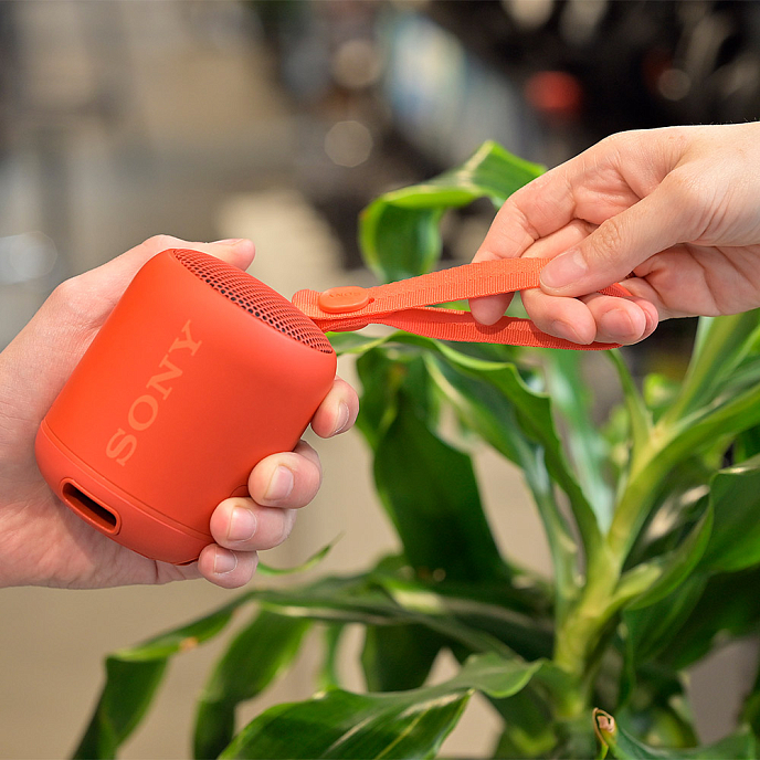 Портативная колонка Sony SRS-XB12 Red - рис.1