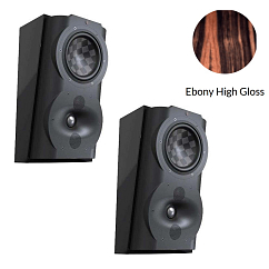 Настенная акустика Perlisten Audio S4s Special Edition Ebony High Gloss