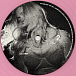 Виниловая пластинка Madonna - Confessions II (Pink Translucent) - 2LP - рис.5