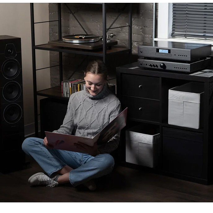 Интегральный усилитель Rotel A11MKII Black - рис.6