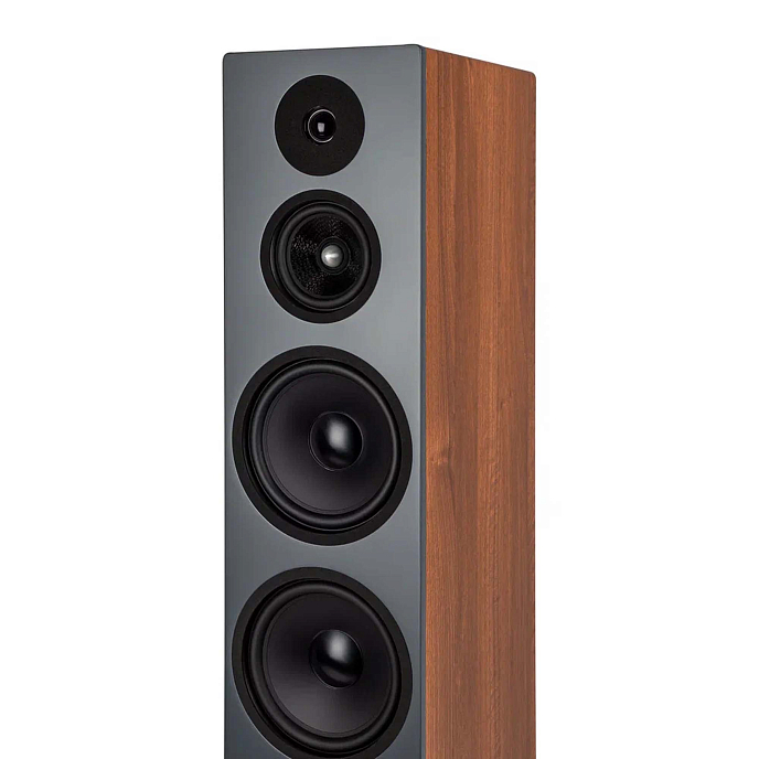 Напольная акустика Davis Acoustics Krypton N 10 Classic Walnut - рис.6
