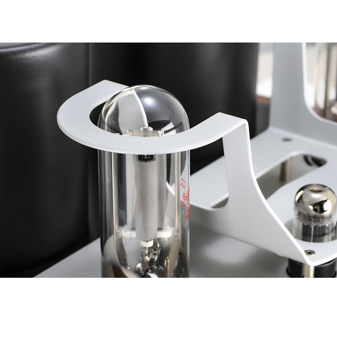 Усилитель мощности Mastersound 845 Monoblock Black Wood - рис.5