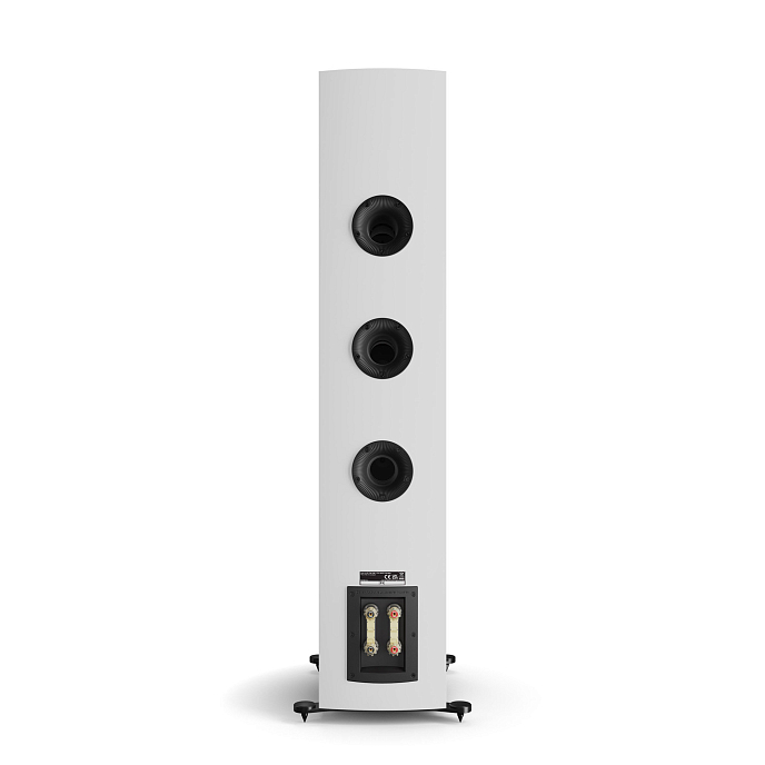 Полочная акустика Dali Rubikore 8 White High Gloss - рис.6