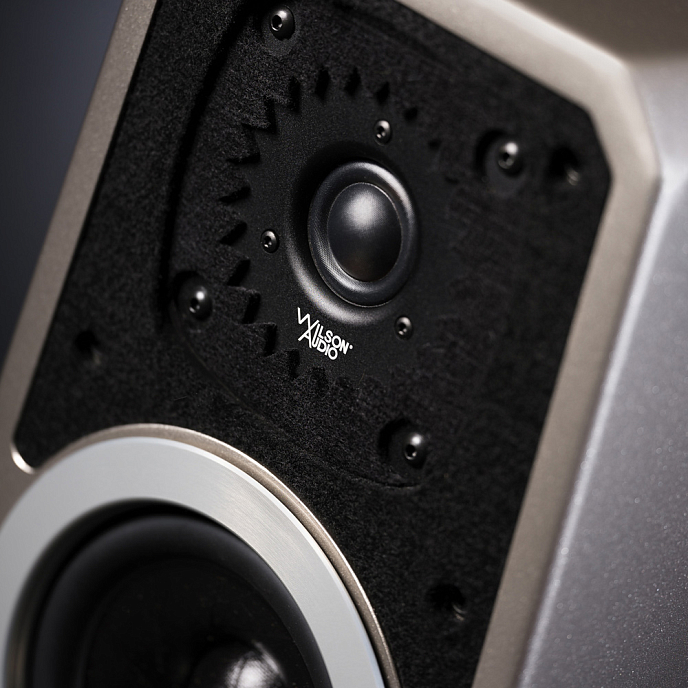 Полочная акустика Wilson Audio TuneTot Galaxy Gray - рис.9
