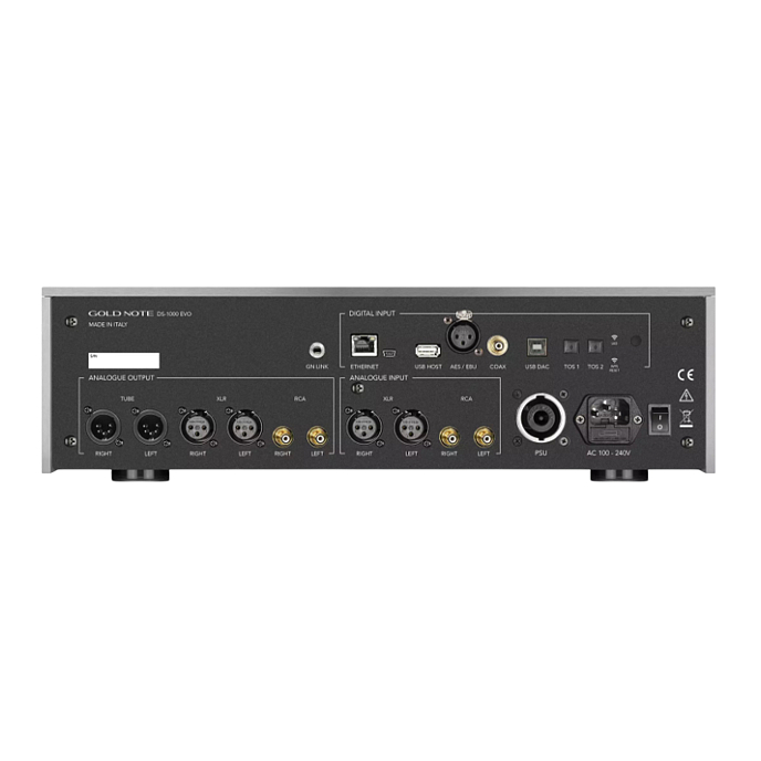 Сетевой аудиоплеер Gold Note DS-1000 Evo Silver - рис.1