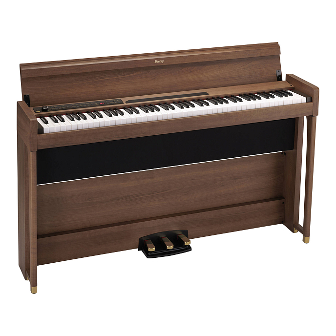 Синтезатор Korg POETRY Brown - рис.1