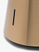 Акустическая система Bang & Olufsen BeoSound 2 Gold Tone - рис.2