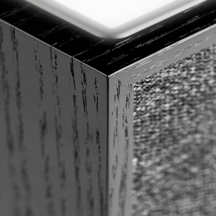 Портативная колонка Tivoli Revive Black - рис.6