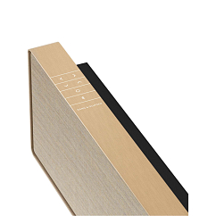 Саундбар Bang & Olufsen Beosound Stage Gold Tone/Golden