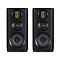 Wharfedale EVO 4.2 Black Oak