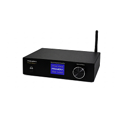 Интегральный усилитель Premiera Mini Amp L Black
