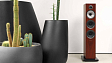 Напольная акустика Bowers & Wilkins 704 S2 rosenut - рис.7