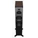 - рис.1 Напольная акустика Dynaudio Emit 50 Walnut - рис.1