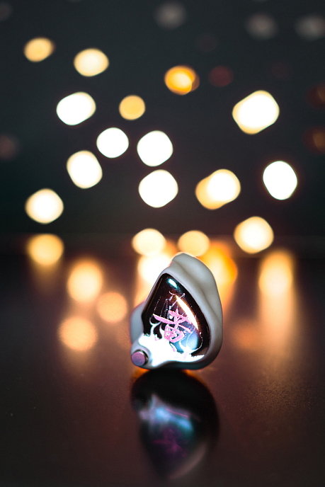 Кастомные наушники FiR Audio Krypton 5 Custom - рис.3