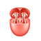 HUAWEI FreeBuds 5 Honey-T10 Orange Coral