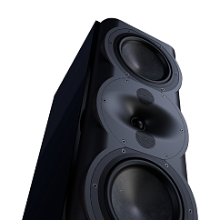Полочная акустика Perlisten Audio R5m Piano Black
