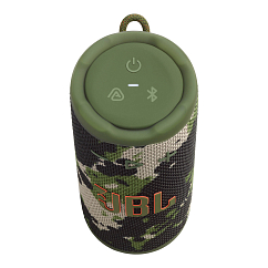 Портативная колонка JBL Grip Squad