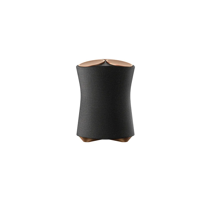 Портативная колонка Sony SRS-RA5000 Black - рис.0