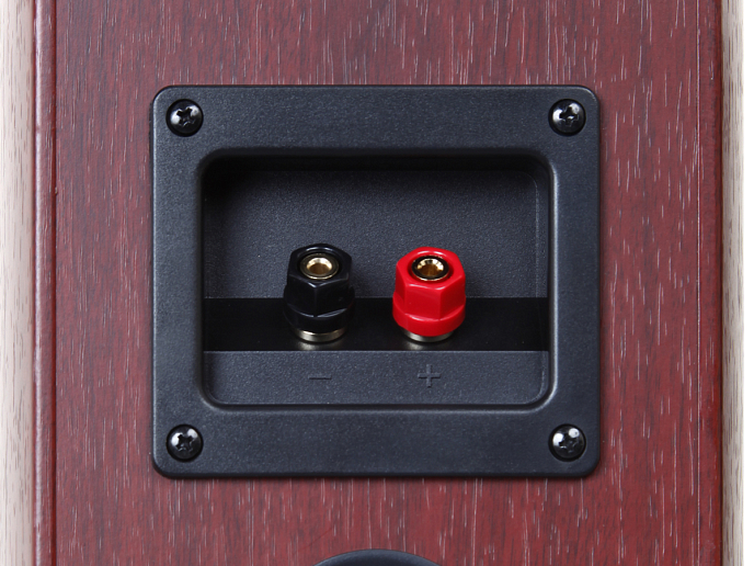 Полочная акустика TEAC LS-301 black - рис.5