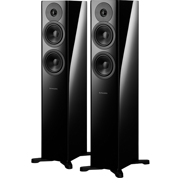 Напольная акустика Dynaudio Evoke 30 Black High Gloss - рис.1